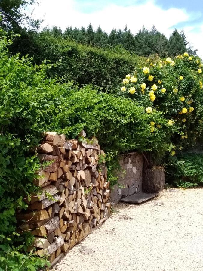 La Maison Du Potager Saint-Racho Exteriér fotografie