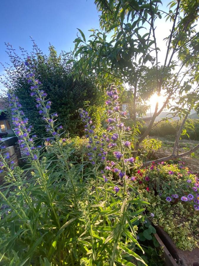 La Maison Du Potager Saint-Racho Exteriér fotografie
