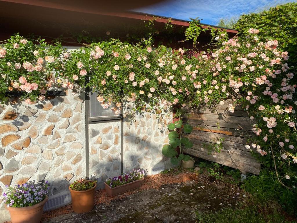 La Maison Du Potager Saint-Racho Exteriér fotografie