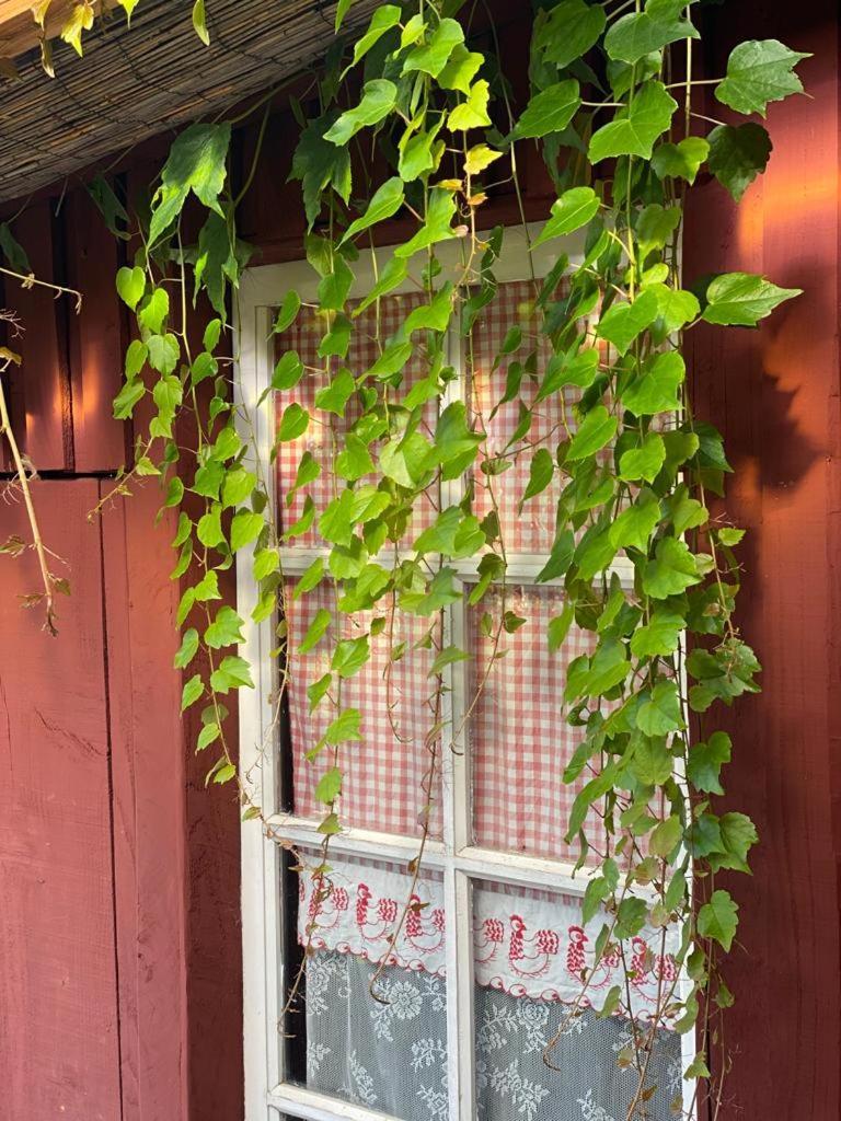 La Maison Du Potager Saint-Racho Exteriér fotografie